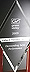 Grass Valley Platinum Level Valued Partner Award 2009 for Outstanding Sales Performance