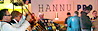 Hannu Pro party - a chance to join useful and entertainment
