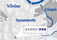 Hannu Pro Vilnius office location