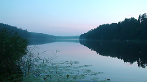 Valguma daba